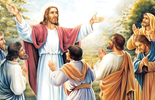Evangelio del 4 de octubre de 2025: Memoria de San Francisco de Asís