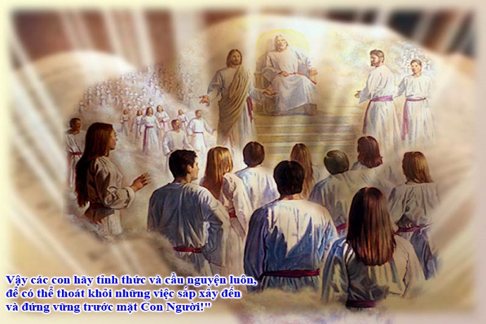 Evangelio del 29 de noviembre de 2025: Sábado de la XXXIV semana del Tiempo ordinario