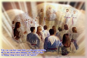 Evangelio del 29 de noviembre de 2025: Sábado de la XXXIV semana del Tiempo ordinario