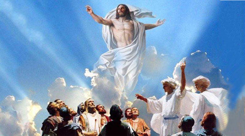 Evangelio del 3 de diciembre de 2025: Memoria de San Francisco Javier, presbítero