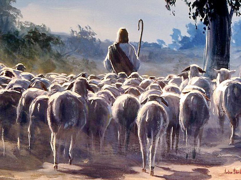 Evangelio del 11 de mayo de 2025: IV Domingo de Pascua