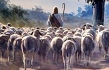 Evangelio del 11 de mayo de 2025: IV Domingo de Pascua