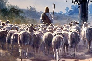 Evangelio del 11 de mayo de 2025: IV Domingo de Pascua
