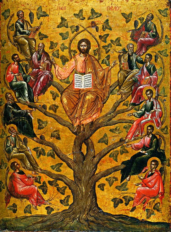Evangelio del 21 de mayo de 2025: Miércoles de la V semana de Pascua