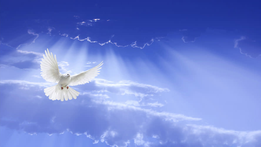 Evangelio del 28 de mayo de 2025: Miércoles de la VI semana de Pascua