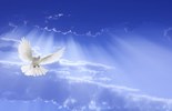 Evangelio del 28 de mayo de 2025: Miércoles de la VI semana de Pascua