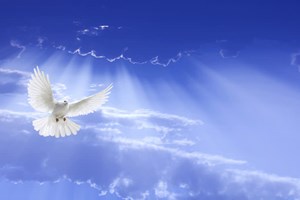 Evangelio del 28 de mayo de 2025: Miércoles de la VI semana de Pascua