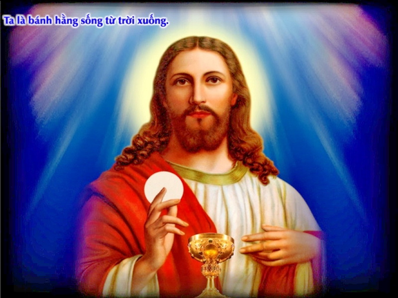 Evangelio del 9 de mayo de 2025: Viernes de la III semana de Pascua