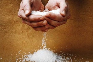 Evangelio del 10 de junio de 2025: Martes de la X semana del Tiempo ordinario