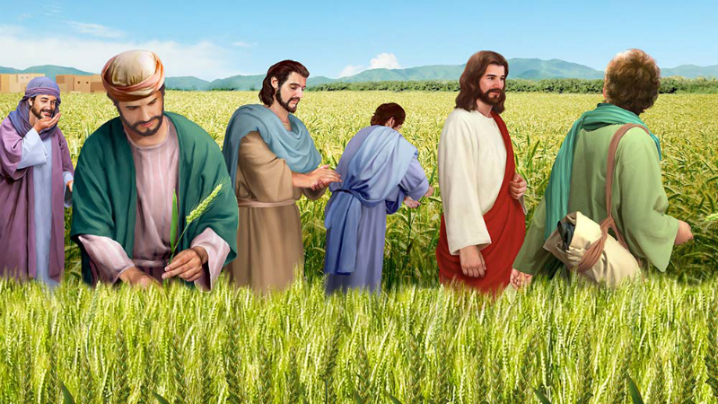Evangelio del 18 de julio de 2025: Viernes de la XV semana del Tiempo ordinario
