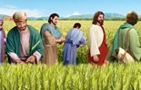 Evangelio del 18 de julio de 2025: Viernes de la XV semana del Tiempo ordinario