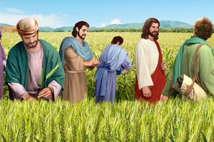 Evangelio del 18 de julio de 2025: Viernes de la XV semana del Tiempo ordinario