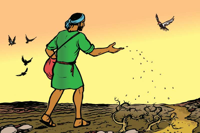 Evangelio del 23 de julio de 2025: Miércoles de la XVI semana del Tiempo ordinario