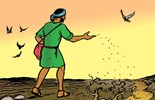 Evangelio del 23 de julio de 2025: Miércoles de la XVI semana del Tiempo ordinario