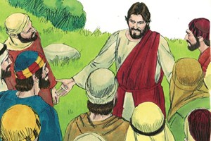 Evangelio del 5 de julio de 2025: Sábado de la XIII semana del Tiempo ordinario
