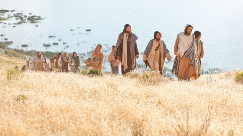 Evangelio del 6 de julio de 2025: XIV Domingo Ordinario