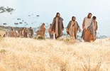 Evangelio del 6 de julio de 2025: XIV Domingo Ordinario