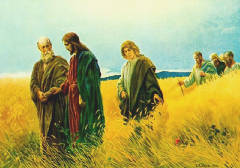 Evangelio del 8 de julio de 2025: Martes de la XIV semana del Tiempo ordinario