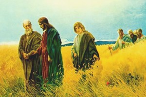 Evangelio del 8 de julio de 2025: Martes de la XIV semana del Tiempo ordinario