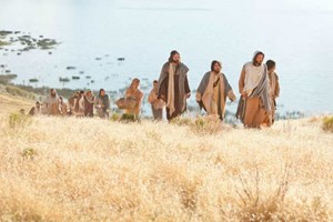 Evangelio del 9 de julio de 2025: Miércoles de la XIV semana del Tiempo ordinario
