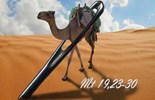 Evangelio del 19 de agosto de 2025: Martes de la XX Semana del Tiempo Ordinario