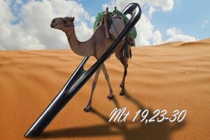 Evangelio del 19 de agosto de 2025: Martes de la XX Semana del Tiempo Ordinario