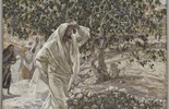 Evangelio del 13 de septiembre de 2025: Memoria de San Juan Crisóstomo, obispo y doctor de la Iglesia