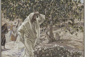 Evangelio del 13 de septiembre de 2025: Memoria de San Juan Crisóstomo, obispo y doctor de la Iglesia