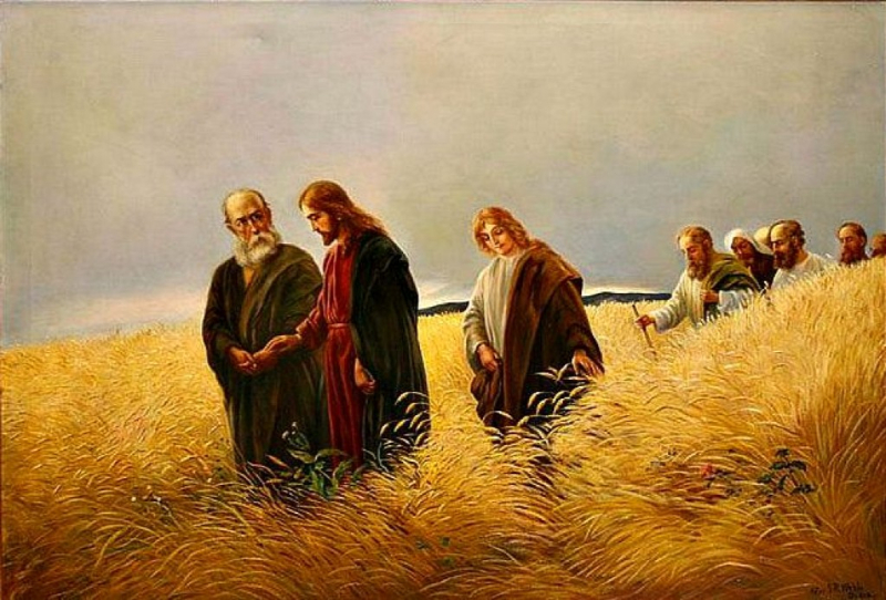Evangelio del 6 de septiembre de 2025: Sábado de la XXII semana del Tiempo ordinario