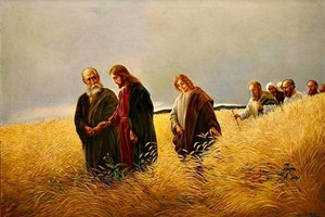 Evangelio del 6 de septiembre de 2025: Sábado de la XXII semana del Tiempo ordinario