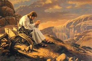 Evangelio del 9 de septiembre de 2025: Memoria de san Pedro Claver, presbítero